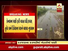 વડોદરાના કરજણના કરમડી નજીક કેનાલમાં ભ્રષ્ટાચારના ગાબડા, ખેડૂતોને લાખોનું નુકસાન