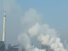 How India will save the world from 'environmental crisis'? 