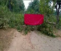 Gadchiroli | गडचिरोलीत नक्षलवाद्यांनी एसटी बस अडवली; झाडं तोडून मार्ग रोखण्याचा प्रयत्न 