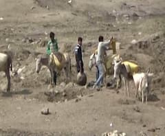 Sand Mafia in Parbhani | परभणी जिल्ह्यात वाळू माफियांनी नद्यांना ओरबाडलं; प्रशासनाचं दुर्लक्षं