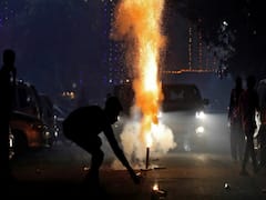 7 से 30 नवंबर तक पटाखों पर बैन लगा सकते हैं क्या?- NGT ने सरकार से पूछा