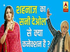 कहानी Shehnaaz Gill की- पंजाब की KATRINA का SIDNAAZ से Shona shona तक का सफर