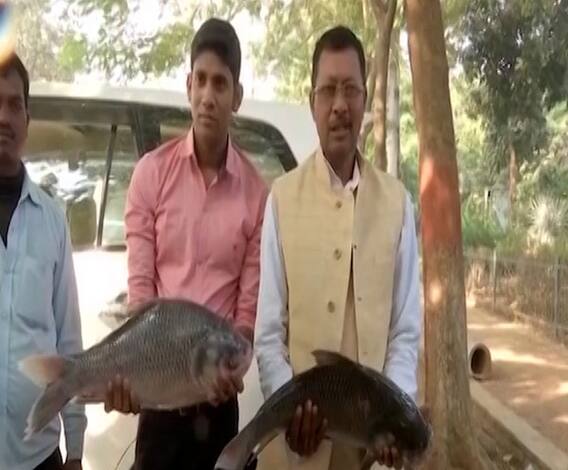 Bihar Election Results 2020 | ...म्हणून मासे घेऊन कार्यकर्ते लालू प्रसाद यादव यांच्या घरी