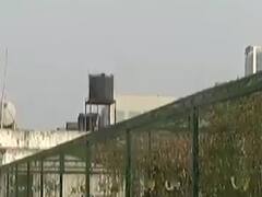 અમદાવાદઃ ગુજરાત વિદ્યાપીઠમાં ચાલે છે ધાબા ખેતીનો પ્રોજેક્ટ, ઉગાડાય છે લીલા શાકભાજી 