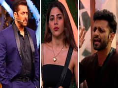 Bigg Boss 14: Pavitra Puni Gets Into Physical Fight With Eijaz Khan! 