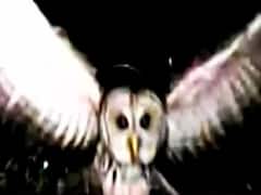 Diwali Special : खूनी अंधविश्वास की डरावनी कहानी !