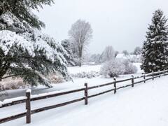 J&K: Various parts receive fresh snowfall, visuals