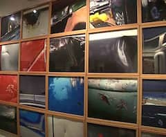 CIMA Art Gallery: ৩০ জনেরও বেশি শিল্পীর শিল্পকার্য নিয়ে সিমা গ্যালারিতে শুরু হল প্রদর্শনী - ‘আনটাইটেল্ড’