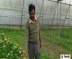 पहले से 10 गुना ज्यादा मुनाफा कमा रहे बिजनौर के ये किसान, जानिए कैसे | Satte Pe Satta 