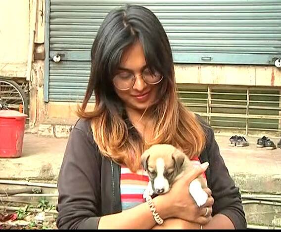 Special Report | कुत्र्याच्या पिलांसाठी दत्तक योजना; औरंगाबाद महापालिकेचा उपक्रम