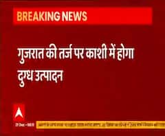Gujarat की तर्ज पर अब Kashi में भी होगा डेयरी उत्पादन, ट्रेनिंग लेने निकले किसान | abp Ganga 