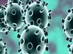 कोरोना के नए स्ट्रेन ने बढ़ाई चिंता, देश भर में अधिकारीयों की 'भागमभाग'