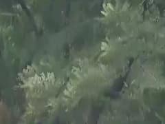 નવા વર્ષે ગુજરાતના આ વિસ્તારોમાં માવઠાની હવામાન વિભાગે કરી આગાહી, જુઓ વીડિયો