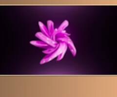 Tension between Madhurima, Vishal evident as they share 'Khawabeeda' experience