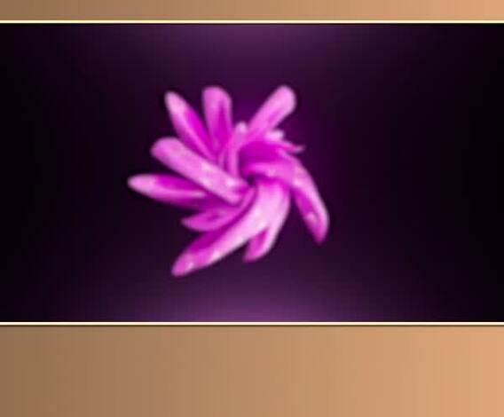 Tension between Madhurima, Vishal evident as they share 'Khawabeeda' experience