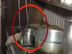 Know how farmers' agitation is affecting shops at border