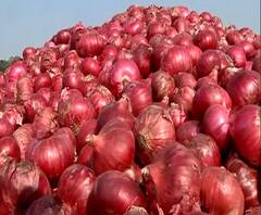 TOP 50 | कांदा निर्यातीवरील बंदी उठवल्याने दरात वाढ, शेतकऱ्यांना दिलासा | बातम्यांचं अर्धशतक 