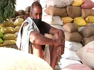 किसान के बाजरे पर कांग्रेस का 'पंजा' | Ghanti Bajao