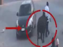 ગીર સોમનાથમાં આખલાનો આતંક, રાહદારી પર કર્યો હુમલો, જુઓ વીડિયો