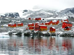 Covid-19 reaches Antarctica, 36 people test positive 
