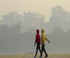 West Bengal weather update: রাজ্যজুড়ে কুয়াশার চাদর, কারণ জানাল আবহাওয়া দফতর