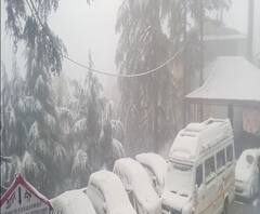 लवली-लवली मौसम का मजा लेते लोग,बर्फबारी होने से होटल व्यवसाहियों के खिले चहरे