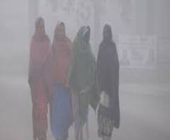 Weather Report: কুয়াশা কাটতেই নামছে পারদ, উইকএন্ডে জাঁকিয়ে শীত ! 