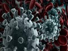 Canada couple infected by new Covid strain has no travel history to Britain