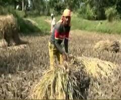 शेती जगत | शेती क्षेत्रातील घडामोडींचा वेगवान आढावा | 05 डिसेंबर 2020