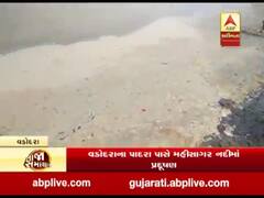 વડોદરાના પાદરા પાસે મહીસાગર નદીમાં પ્રદૂષણ, કેમિકલયુક્ત પાણી છોડાયાનો આરોપ
