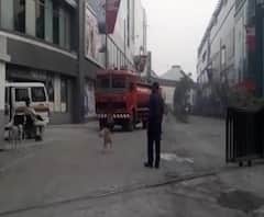 kurla Phoenix Marketcity Fire | मुंबईत कुर्ला येथील फिनिक्स मॉलमध्ये कापड दुकानात आग