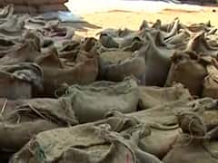 Paddy rots away due to unavailability of sacks | Ghanti Bajao (28.12.2020)