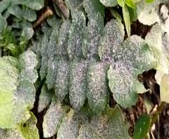 शेती जगत | गावागावात काय आहे शेतीची परिस्थिती? | 22 डिसेंबर 2020