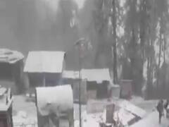 ઉત્તર ભારતમાં હાડ થીજવતી ઠંડી, આબુમાં માઇનસ ચાર ડિગ્રી તાપમાન