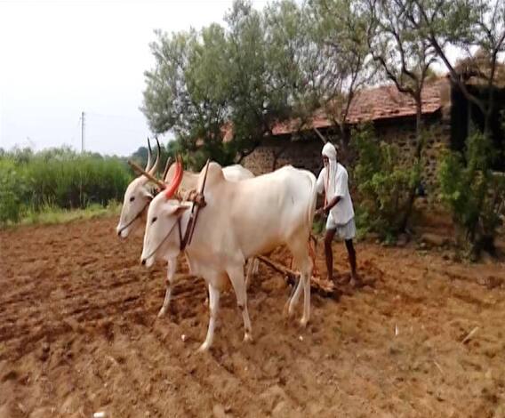 Farmer Issue | शेतकऱ्यांचे 44 कोटी 47 लाख थकीत; बांधावरुन माल उचलला, पैसे दिले नाहीत