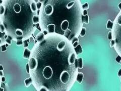 कोरोना केस बढ़ने की वजह से नोएडा में 2 जनवरी तक धारा 144 लागू