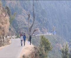 चेरी ब्लॉसम की खुशबू से महकेगा शहर, सैलानियों को होगा अलग तरह का एहसास