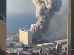 Take a look at the top viral videos of 2020