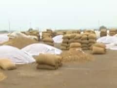 રાજકોટઃ કમોસમી વરસાદથી શિયાળુ પાકને થઇ શકે છે મોટું નુકસાન, જુઓ વીડિયો