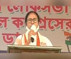 Mamata Banerjee in Gopalnagar: 'আপনাদের প্রমাণপত্রের প্রয়োজন নেই,' বিজেপিকে নিশানা করে মন্তব্য মুখ্যমন্ত্রীর 