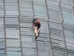 Spain : 33 मंजिला इमारत पर जानलेवा करतब, 44 मिनट पर चढ़कर उतरा शख्स