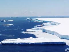 Know how this iceberg in South Atlantic is posing threat to entire world