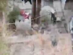 અસ્મિતા વિશેષઃ ચાર પગનો આતંક