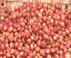 TOP 50 | कांद्याच्या दरात मोठी घसरण | सकाळच्या 50 सुपरफास्ट बातम्या | 23 डिसेंबर 2020