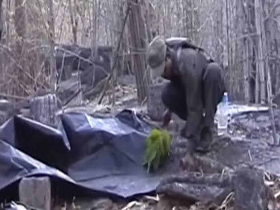 Jharkhand : नक्सलियों के खिलाफ सुरक्षा बलों को मिली बड़ी कामयाबी, जोनल कमांडर समेत 8 नक्सली गिरफ्तार