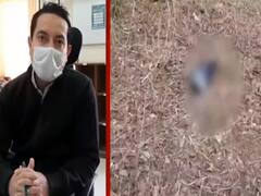 Rajasthan के Jhalawar में Bird Flu से सैकड़ों कौव्वों की मौत, प्रभावित इलाके में लगाया गया कर्फ्यू 