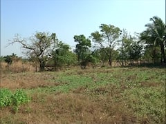 Sanjay Raut की पत्नी वर्षा ने क्यो लिए 55 लाख लोन? करोड़ो के इंवेस्टमेंट की पूरी पड़ताल