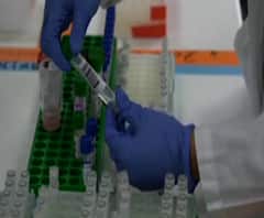 Corona World Update: বিশ্বজুড়ে ছড়াচ্ছে নতুন স্ট্রেন নিয়ে আতঙ্ক, জেনে নিন করোনার লেটেস্ট আপডেট