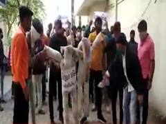 આણંદની સરદાર પટેલ યુનિવર્સિટીના કુલપતિના પુતળાનું દહન, જુઓ વીડિયો