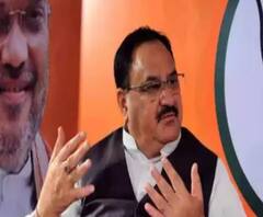 JP Nadda's Bengal Visit: ১০০ মিটার পায়ে হেঁটে মন্দিরে ঢোকেন নাড্ডা, উপস্থিত BJP কর্মী-সমর্থকরা